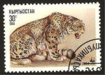 Stamps Kyrgyzstan -  pantera uncia