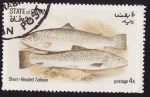 Stamps Oman -  