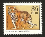 Stamps Germany -  tigre