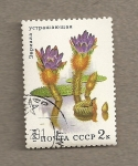 Stamps Russia -  Plantas acuáticas, Euriola