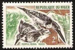 Stamps Niger -  191 - Fauna, ceryle rudis