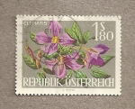 Stamps Austria -  Flor Clematis