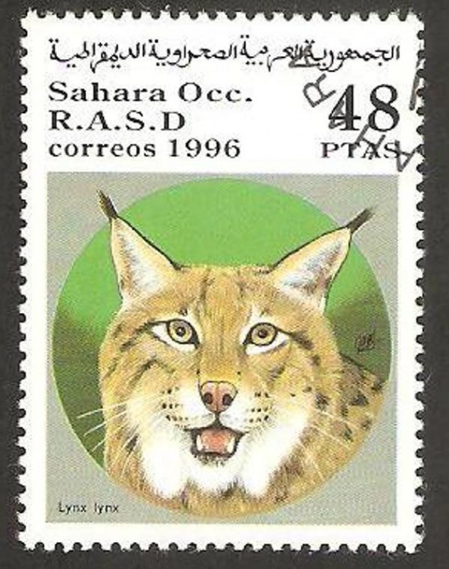 lince