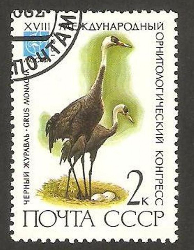 4913 - Congreso internacional de ornitologia en Moscu