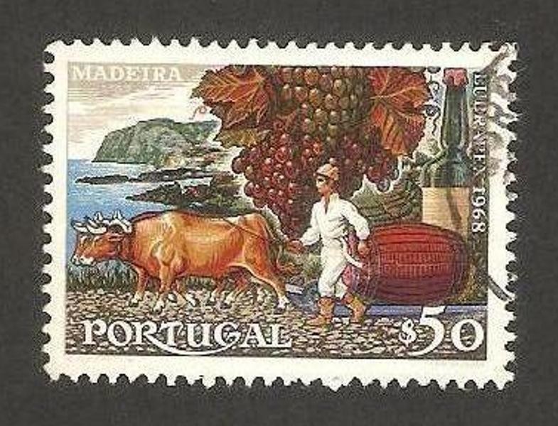 madeira, productor de vino