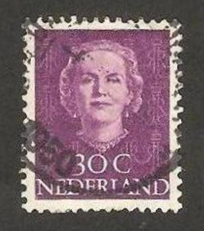 reina juliana