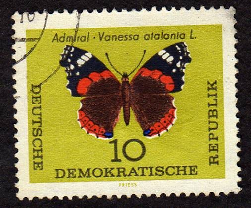 Mariposa