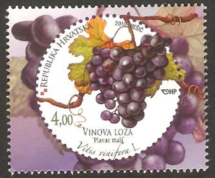 fruta