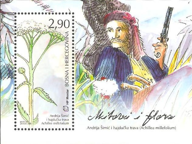 flora, achillea millefolium