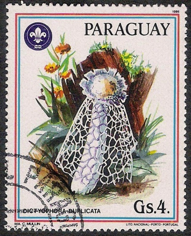 SETAS-HONGOS: 1.209.016,00-Dictyophora duplicata