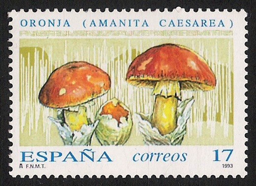 SETAS-HONGOS: 1.232.001,00-Amanita caesarea
