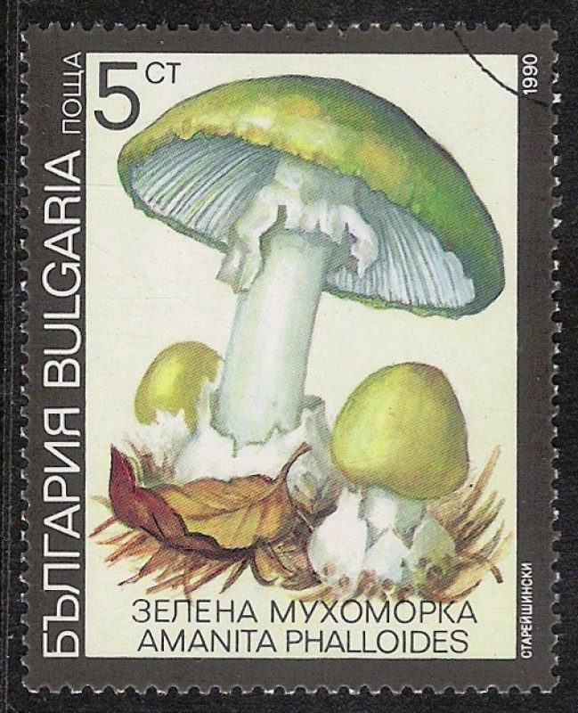 SETAS-HONGOS: 1.120.031,07-Amanita phalloides -Dm.991.7-Y&T.3352-Mch.3886-Sc.3597	