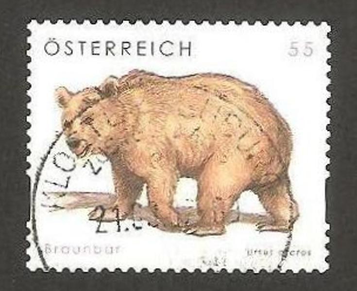 un oso