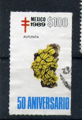 50 aniversario