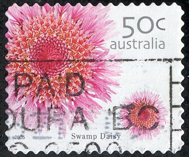 Flora