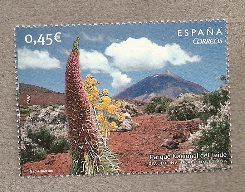 Parque Nacional del Teide