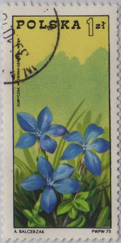 Polonia-20