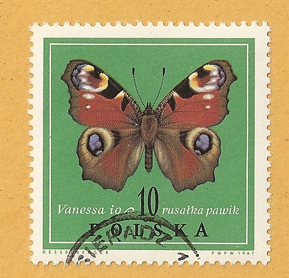 Mariposa, Vanessa