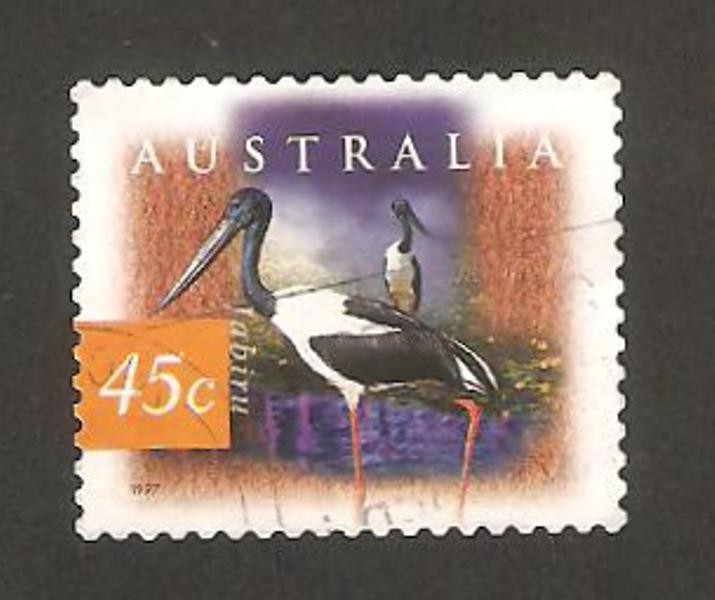  fauna, cigueña jabiru