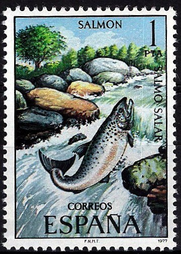 2403 Fauna Hispánica. Salmón.