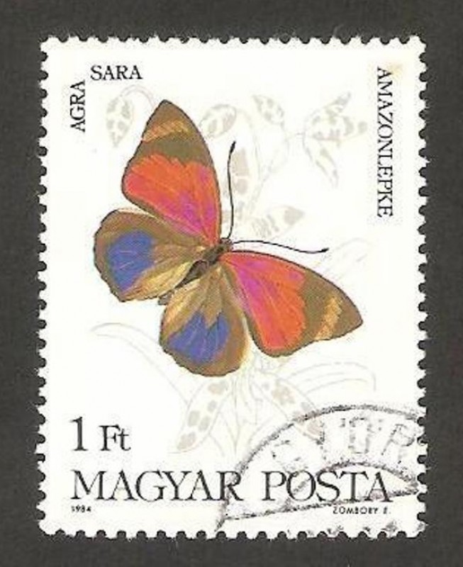mariposa, agra sara