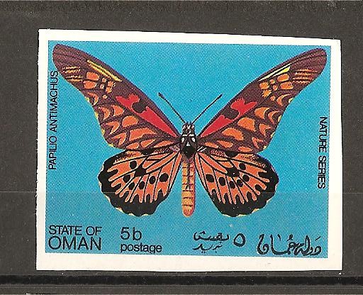 Mariposas.