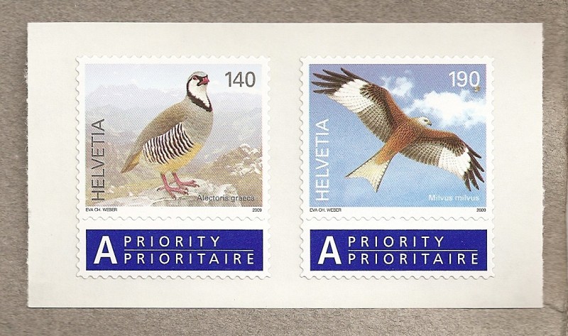 Perdiz y Milano