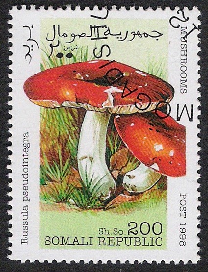 SETAS:229.002(3)-Russula pseudointegra