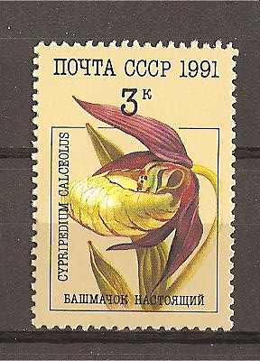 Orquideas.