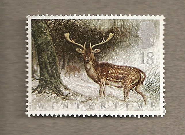 Fauna de invierno