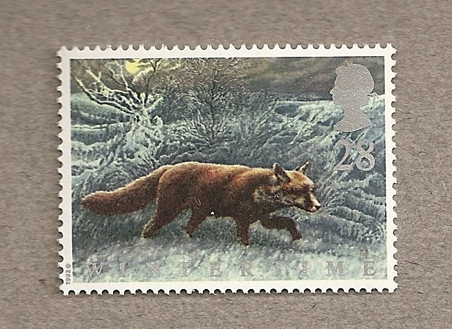 Fauna de invierno