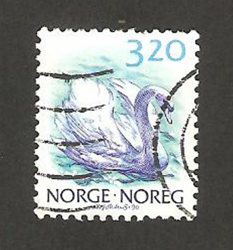 naturaleza, cygnus olor, cisne