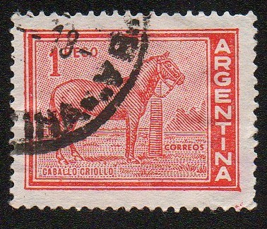 Caballo criollo