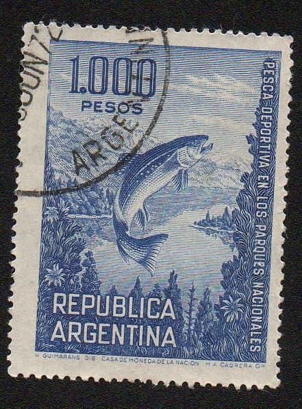 Pesca deportiva