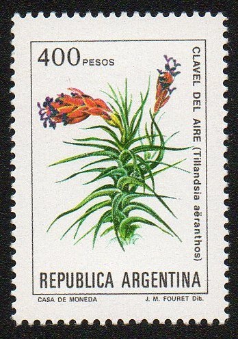 Clavel del aire