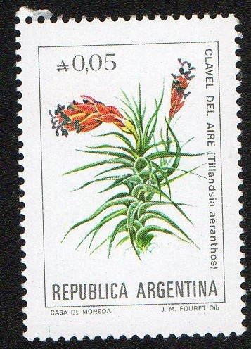 Clavel del aire