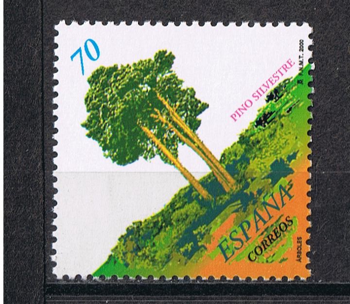 Edifil  3717  Arboles.  