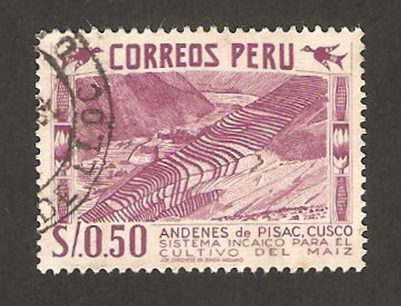 cultivo del maíz, andenes de pisac
