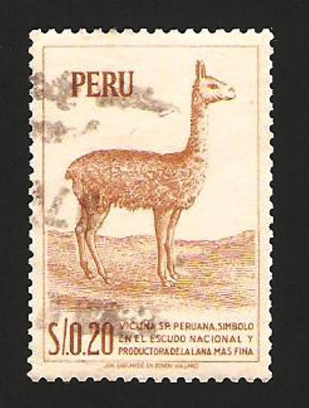 vicuña, símbolo en el escudo nacional