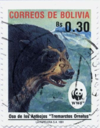 Fauna Boliviana OSO de Anteojos