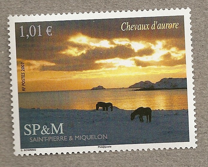 Caballo de la aurora