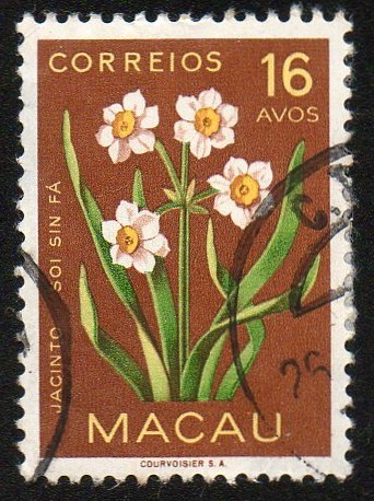 Jacintos