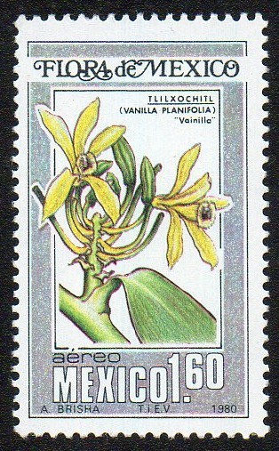 Flora de México - Vainilla