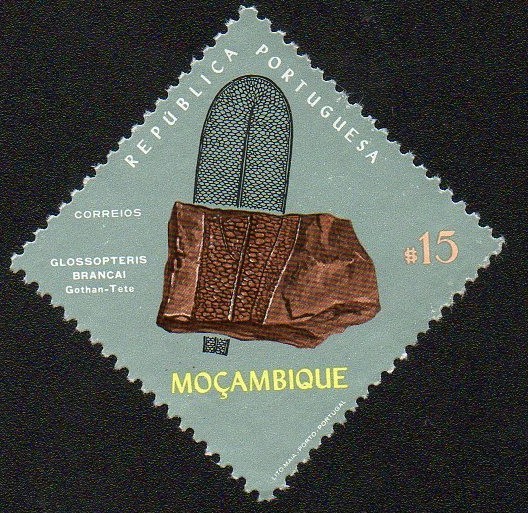 Glossopteris Brancai