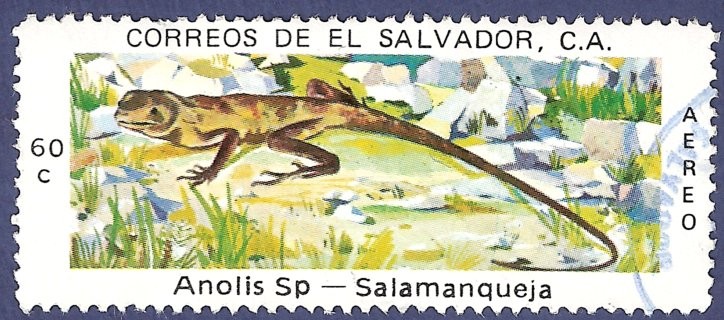 EL SALVADOR Salamanqueja 60 aéreo