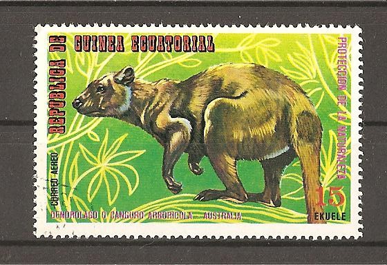 Fauna
