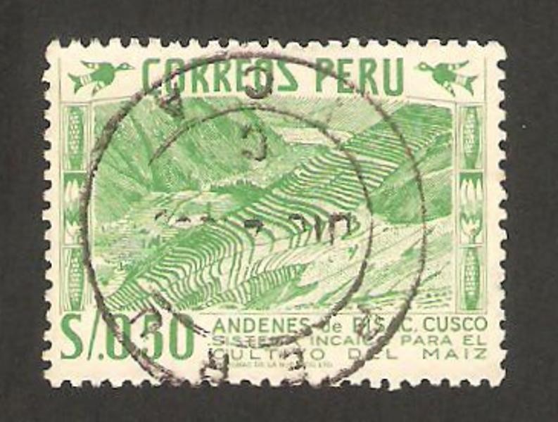 Cultivo del maíz, Andénes de Pisac