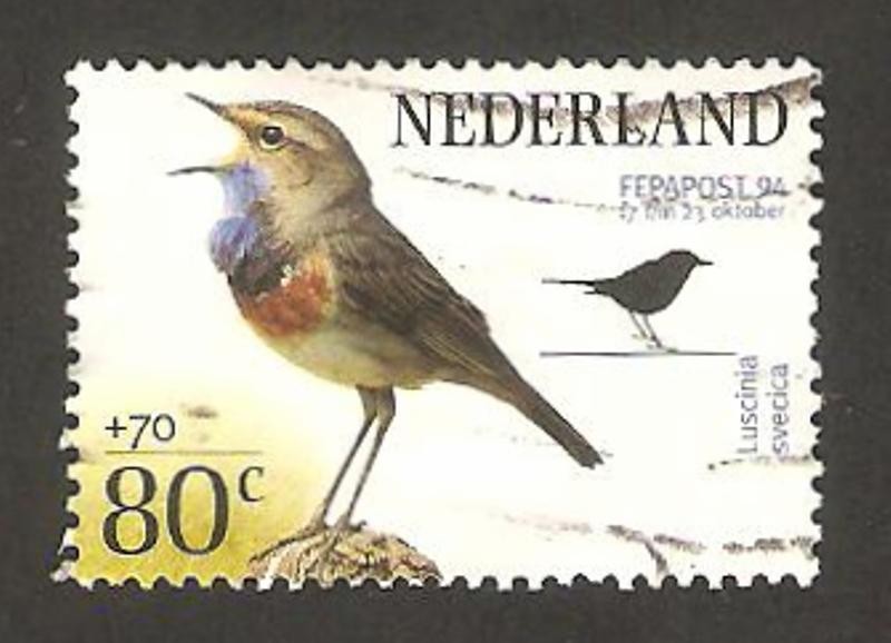 aves, luscina svecica