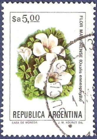 ARG Flor malvinense $a5