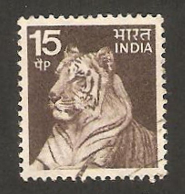 un tigre